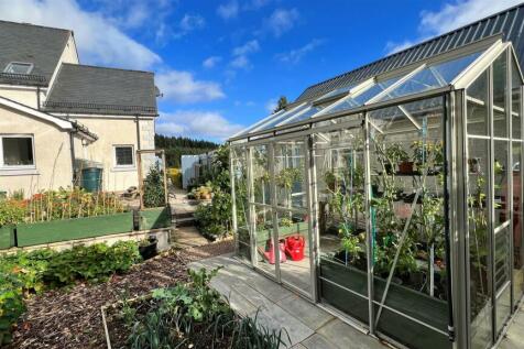 garden 6.jpg