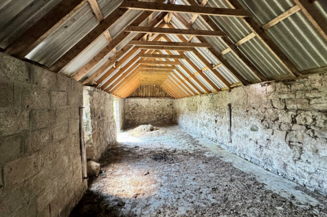 inside shed.png