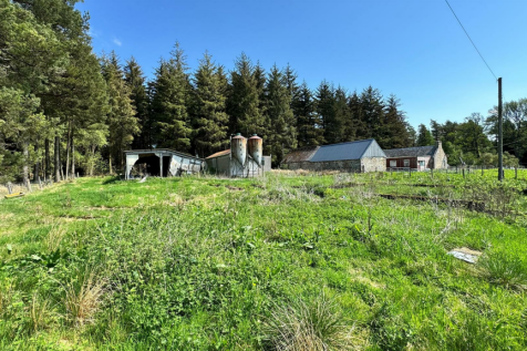 neuk garden.png