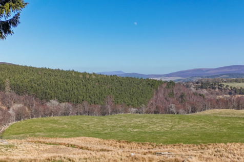 View of Ben Rinnes