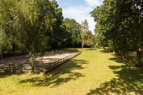 Property Image 39