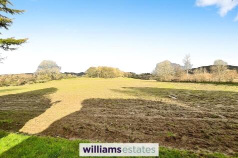 View from bottom of Garden