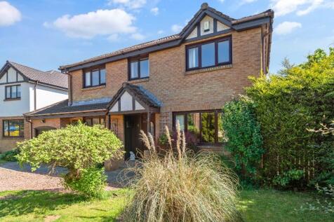 Property Image 41