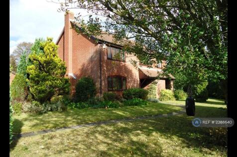 Executive Lodgings Available 