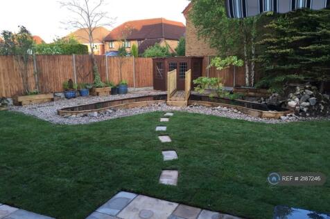 Back Garden