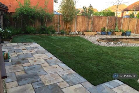 Back Garden