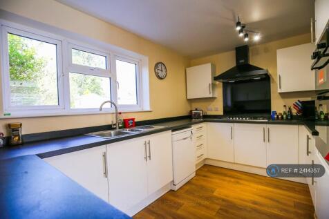Modern Spacious Kitchen 