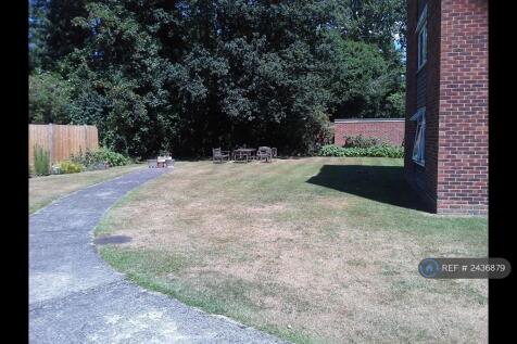 Outside Rear