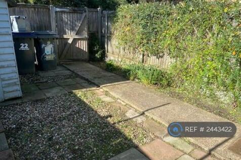 Back Garden