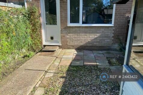 Back Garden