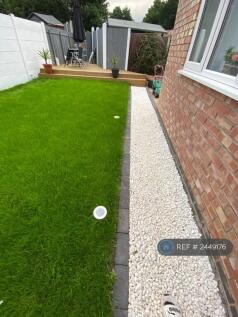 Back Garden 