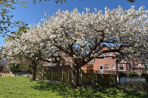 Rowntree Park