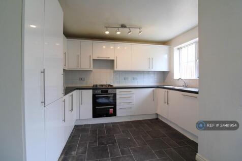 Modern Kitchen 