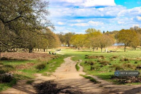 Neighbouring Richmond Park 