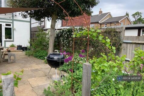 Yorkstone Patio And Holly Tree