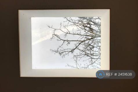 Garden Studio Skylight