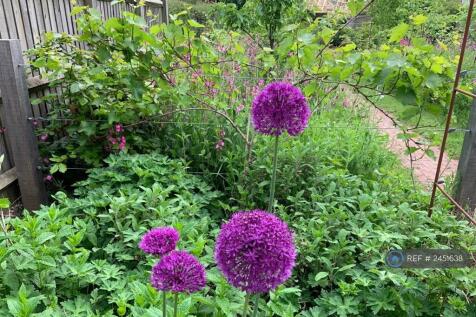 Flowers By The Patio