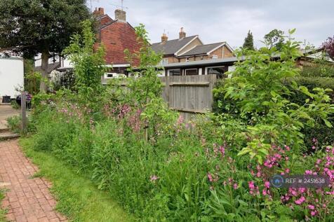 Apple Trees And Wild Flowers
