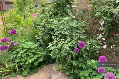 Flowers By The Patio