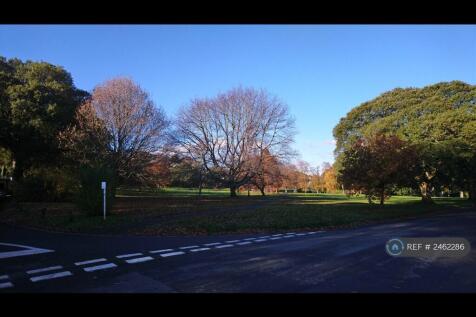 View Of Forde Park