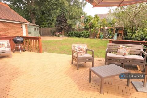 Back Garden 