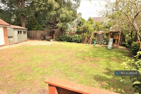 Back Garden 