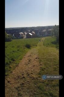 Forest Park Access