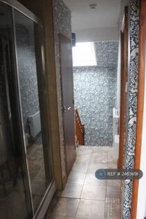 Hallway And Shower Cabin
