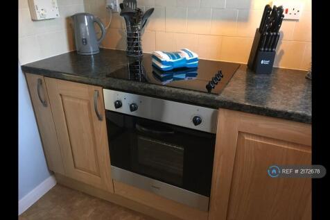 Electric Oven