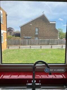 View From Kitchen