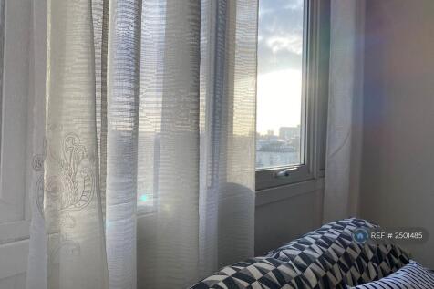 Living Room Window