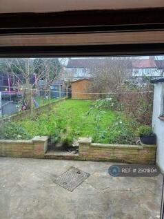 Back Garden