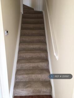 Steps
