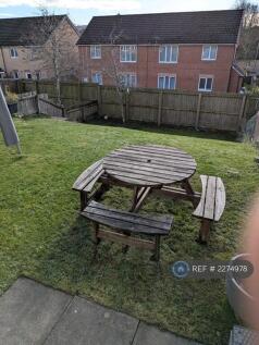 Big Back Sunny Garden