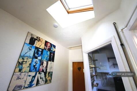 Hall Skylight