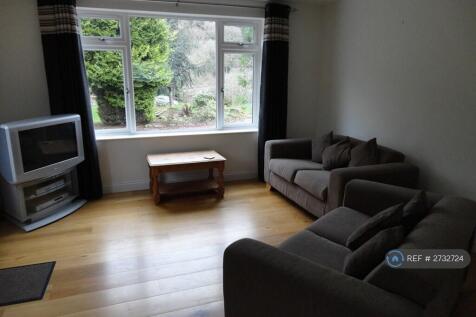 Lounge (Furniture Not Inc)