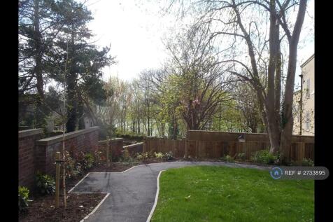 The View From The Back Garden