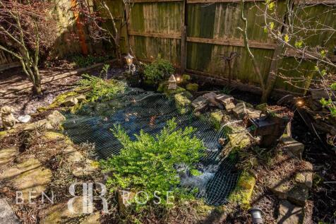 Pond