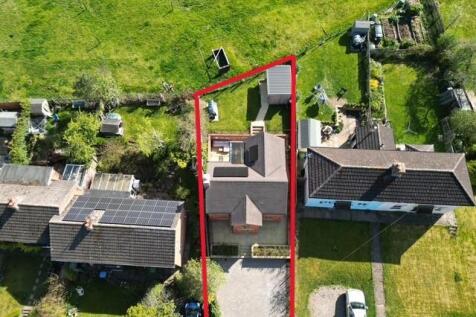 Elevated Borders.JPG