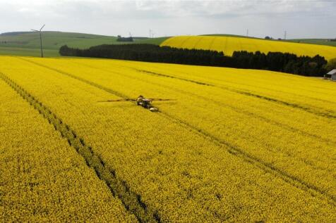 Drone Image