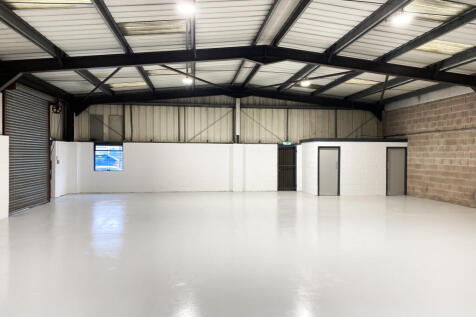 EDIT_Int pic 24 Albion 31.1.24.jpg