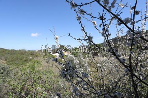 Property Image 30