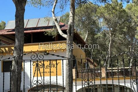 Property Image 66