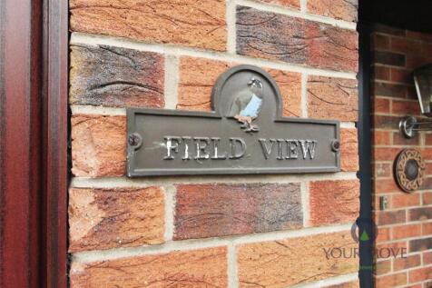 Field View
