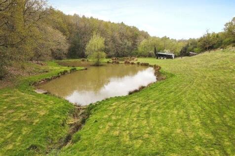 Pond View