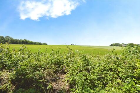 View From Top Garden