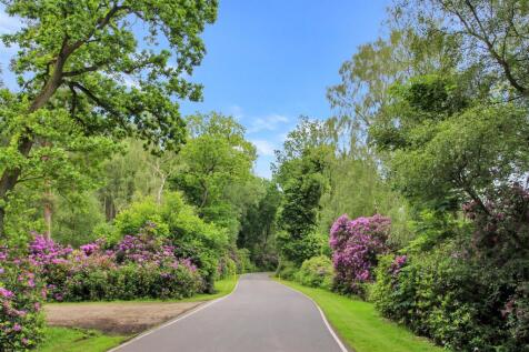 Nettleton Big Wood Drive.JPG