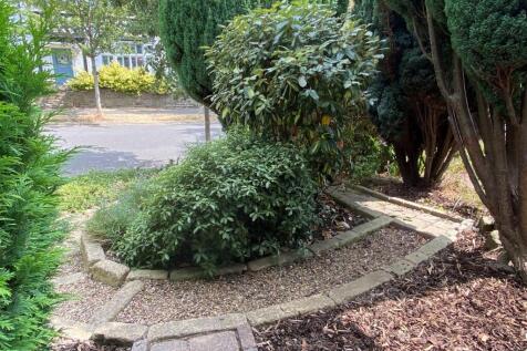 Front garden.jpg