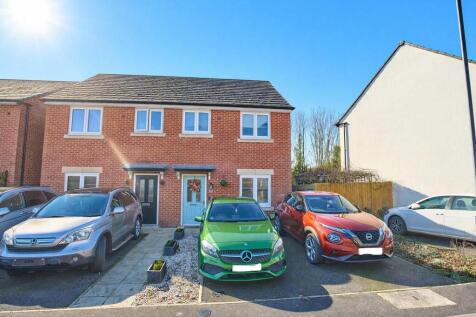 sunny front photo no reg.jpg