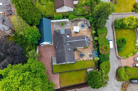 bird's eye view.jpg
